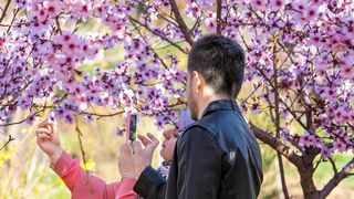 No deal for us: how Iran–US talks affect ordinary Iranians