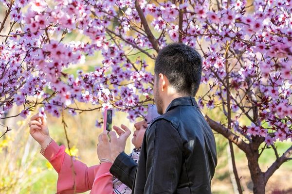 No deal for us: how Iran–US talks affect ordinary Iranians