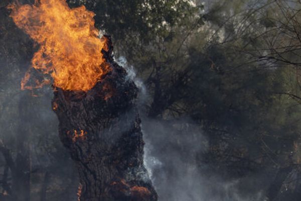 تركيا ترسل طائرات إلى إيران للمساعدة في إخماد حريق غابات "إلِیت"