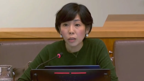 المقررة الأممية لحقوق الإنسان: إيران تتجه نحو "جرائم ضد الإنسانية"