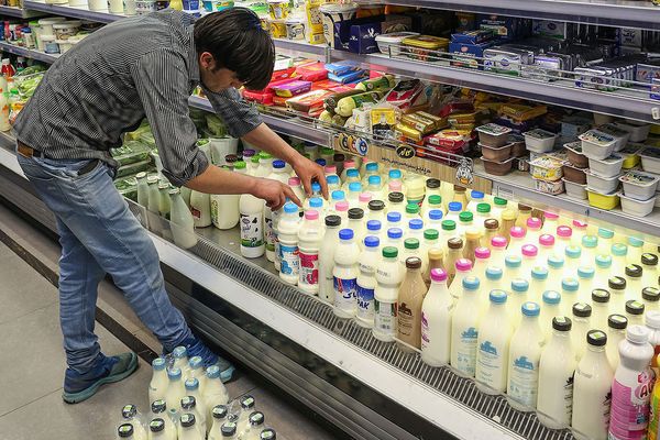 Iran hikes dairy prices, intensifying economic strain on public