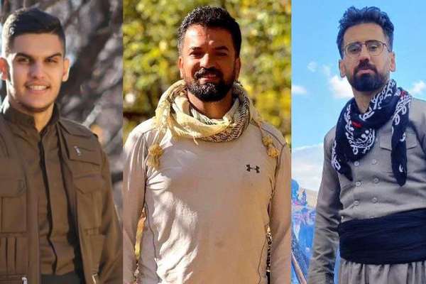 Three Iranian environmental activists die in Kurdistan region blaze