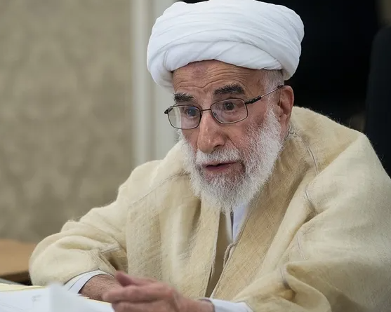 احمد جنتی: من هم نگران گرانیها هستم