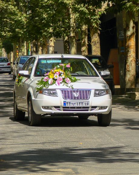 رییس قرارگاه نفس: سن ازدواج دختران به ۲۵ سال و مردان ۲۹.۵ سال رسیده است