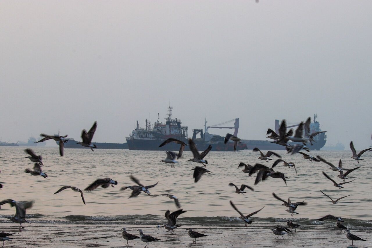 Iran, regional states to meet on Hormuz deal as shipping traffic drops to seven vessels