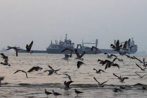 Iran, regional states to meet on Hormuz deal as shipping traffic drops to seven vessels