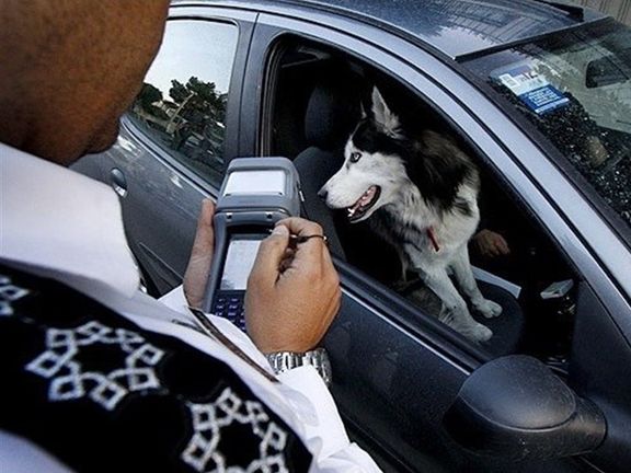 رییس پلیس راهور تهران: با مظاهر هنجارشکنانه در سطح شهر مقابله میکنیم
