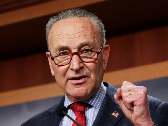 چاک شومر: مقامهای کاخ سفید تضمین ندادند که عملیات مشابهی در کشورهای دیگر تکرار نخواهد شد