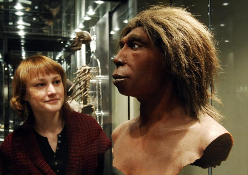 آیا تفاوت چهره انسان امروزی و نئاندرتال‌ها نتیجه اصل بقا است؟