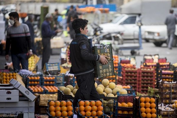 Broken machine: why Tehran’s food distribution plan won’t move the needle
