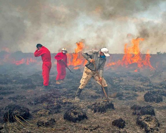 رییس پناهگاه حیات وحش میانکاله:۲۶۴ هکتار از میانکاله طی شش ماه در آتشسوزیهای سریالی سوخت