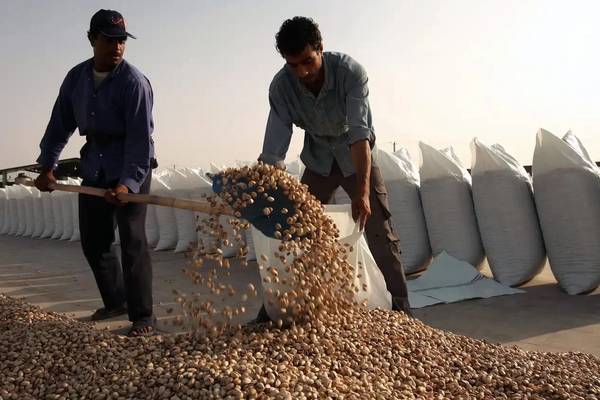 همزمان با رونق «شکلات دبی»، جنگ ایران عرضه پسته را تحت تاثیر قرار داد