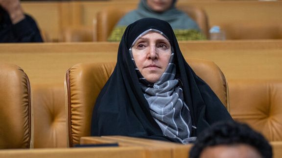 مدیرکل زنان وزارت امور خارجه: قطعنامه پارلمان اروپا سیاهنمایی وضعیت زنان در ایران است