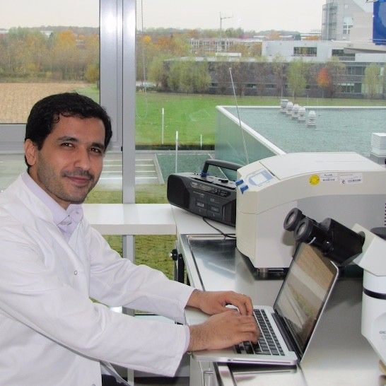 Former Sharif University professor Ali Sharifi-Zarchi  