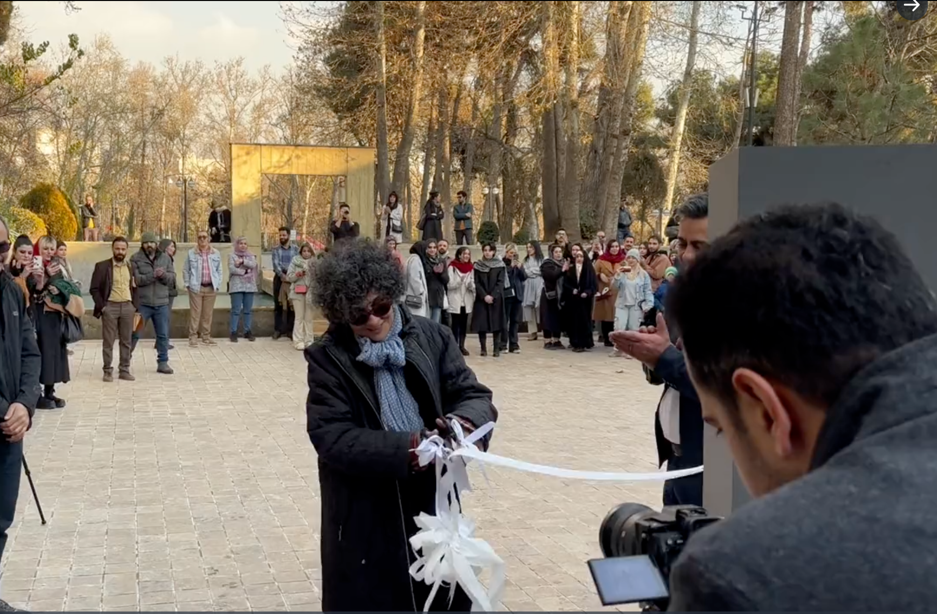 Iranian cultural figures unveil in public to protest hijab