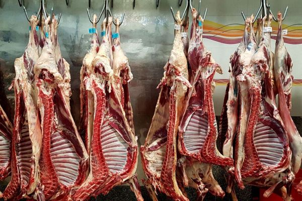 رییس کل دادگستری اصفهان: اعضای توزیع گوشت آلوده با اتهام افساد فیالارض بازداشت شدند