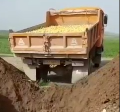 دادگستری اردبیل: معدوم‌کنندگان جوجه‌های یکروزه مجازات سنگین می‌شوند