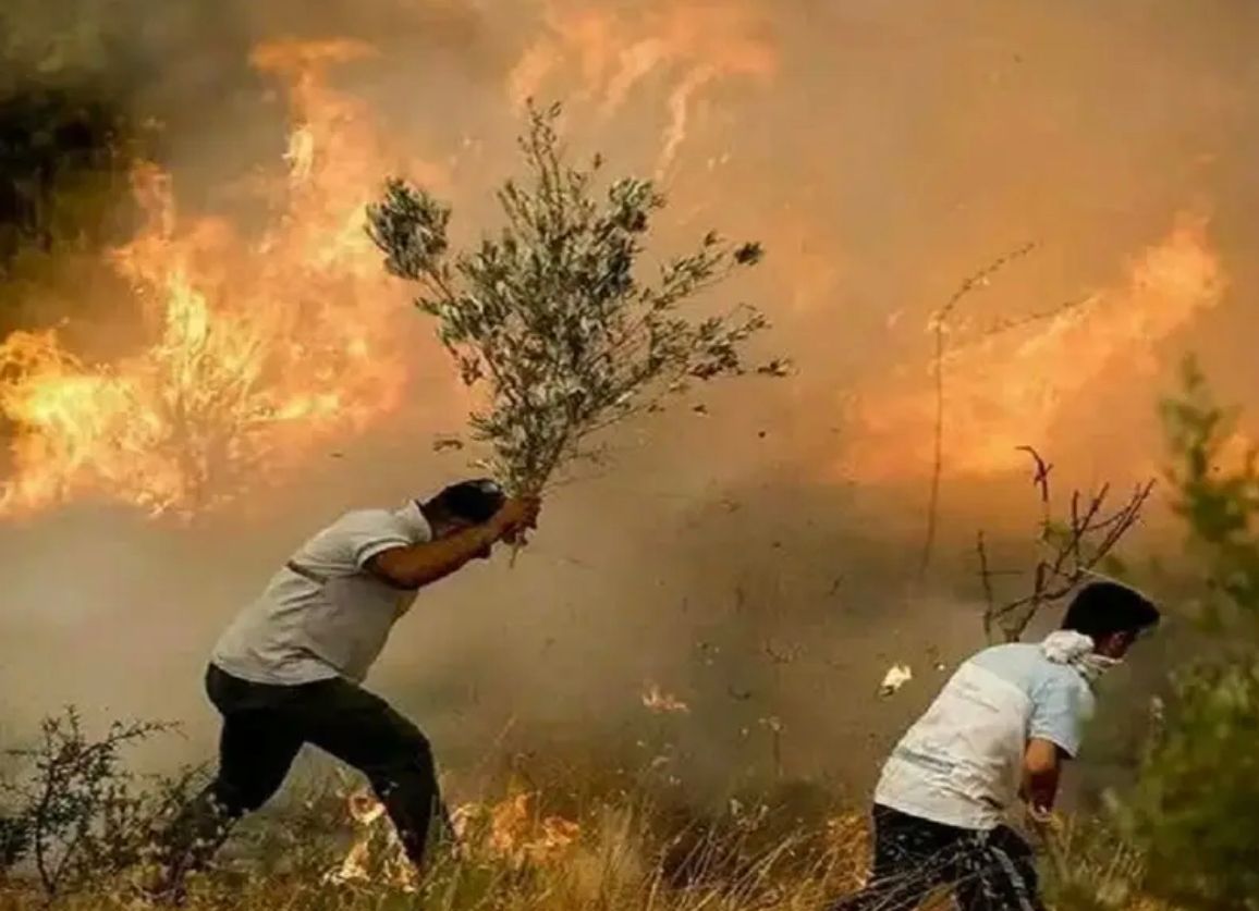 Fires in Iran's protected wildlife area expose governance failures