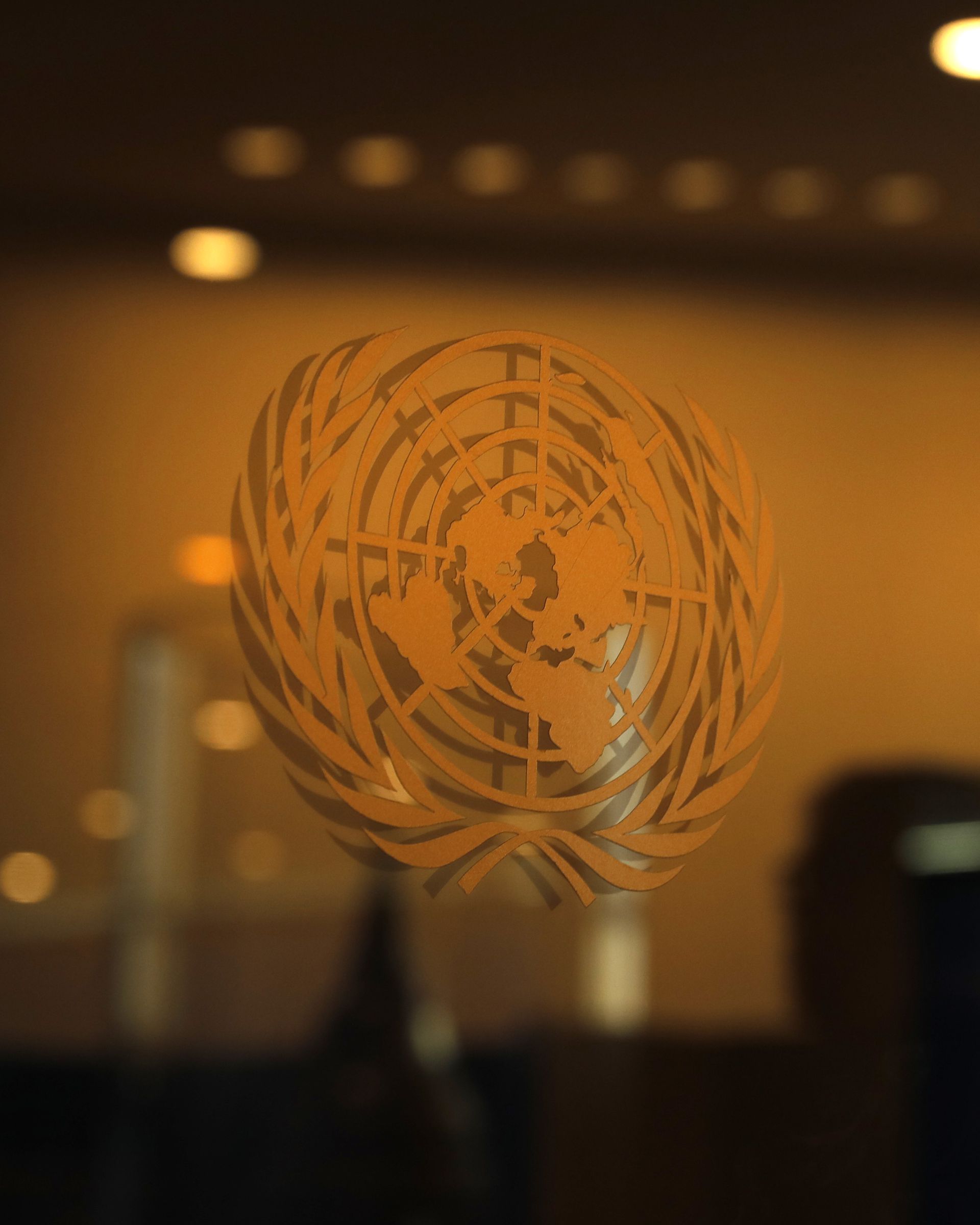 روسیه قطعنامه شورای امنیت درباره اوکراین را وتو کرد؛ چین رای ممتنع داد