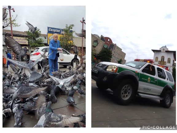 استقرار مامور انتظامی در میدان شهرداری رشت برای جلوگیری از تجمع پرندهها و عکاسی مردم