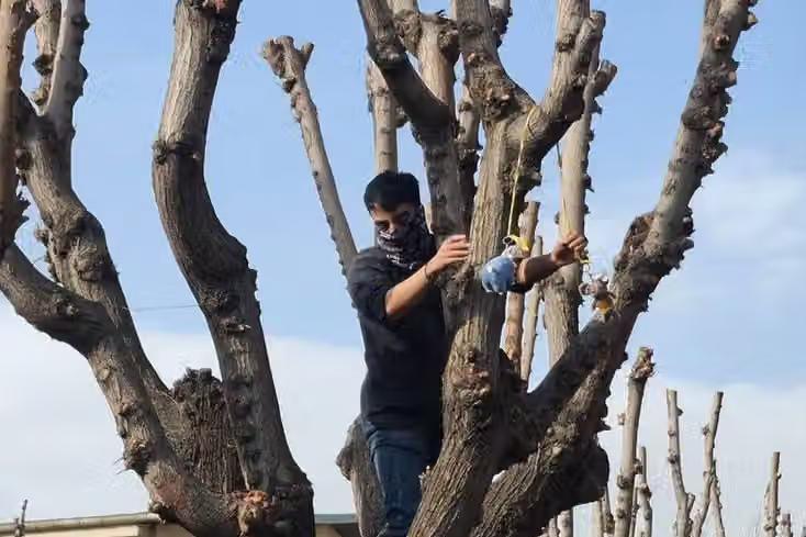 Iran's top university expels student over toy rat that mocked Ali Khamenei