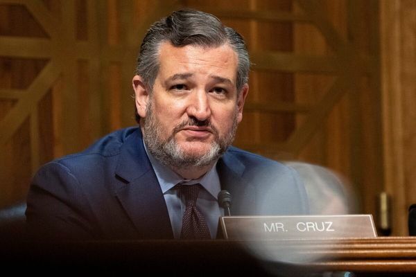 Debate me, Cruz: senator and Iranian ex-nuclear negotiator scrap online