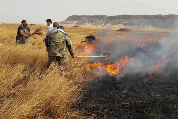 مسؤول إيراني: لدينا القدرة على مساندة دول المنطقة في إدارة الأزمات