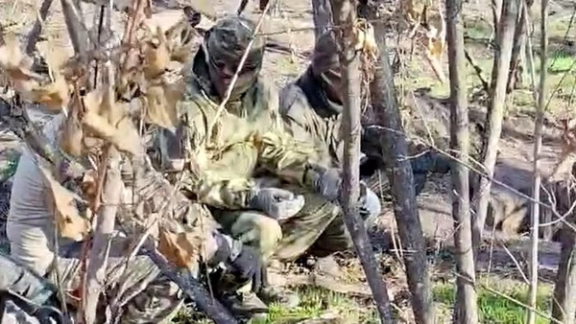 نیروهای یمنی در جنگ اوکراین