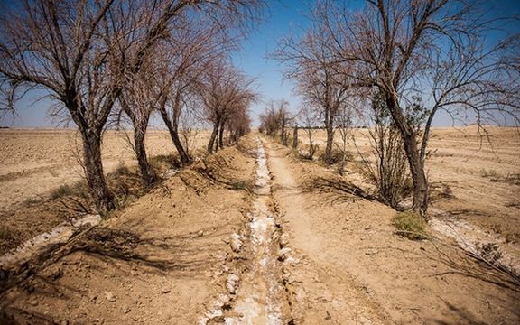 سازمان مدیریت بحران: ۹۵ درصد استان اصفهان درگیر خشکسالی است
