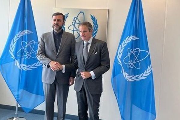 Iran, IAEA discuss nuclear issues in Vienna meeting