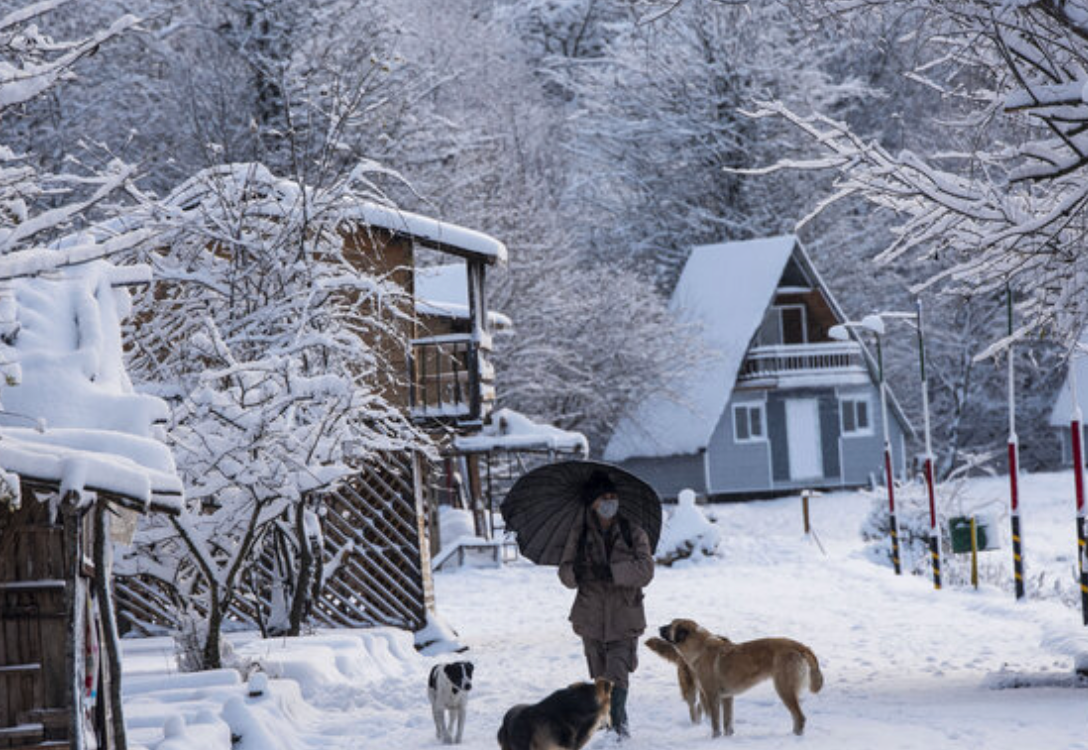 Iran shuts down schools and businesses as energy crisis deepens