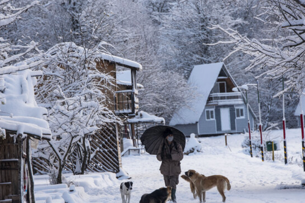 Iran shuts down schools and businesses as energy crisis deepens