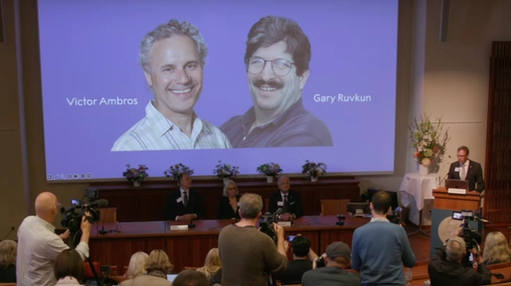 با کشف میکرو آر.ان.ای، جایزه نوبل پزشکی ۲۰۲۴ به ویکتور آمبروس و گری روکون رسید