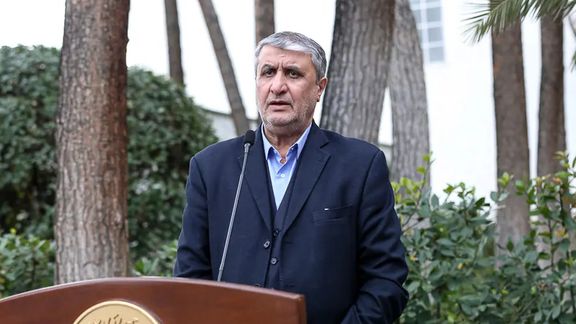 رئيس منظمة الطاقة الذرية الإيرانية: 5 آلاف شخص يعملون على توسيع محطة بوشهر النووية