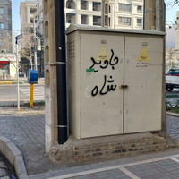 فراخوان شاهزاده رضا پهلوی و فصل تازه همراهی شهروندان برای اعتراض