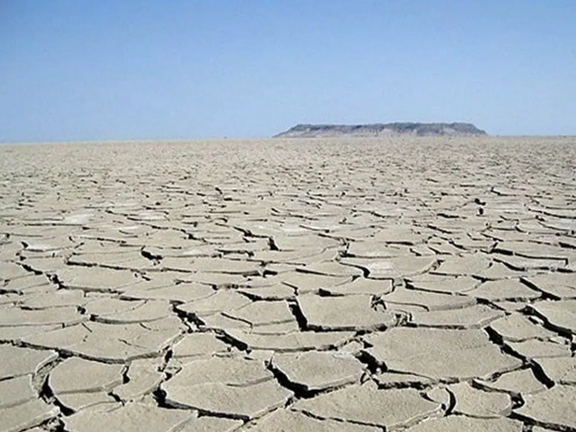 سرپرست محیط زیست سیستان و بلوچستان: طالبان حقابه هیرمند را نداد و تالاب هامون خشک شد