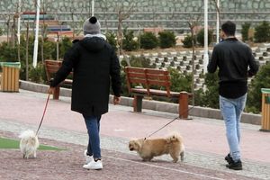 Iran's Hardliners Threaten Renewed War On Man's Best Friend