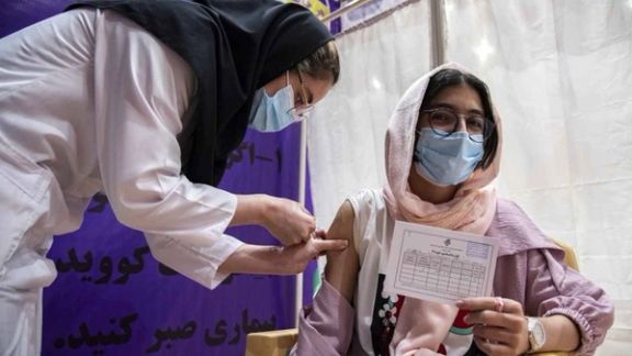 دبیر کمیته علمی کرونا: جشن واکسیناسیون به این معنا نیست که ایمنی جمعی به وجود آوردهایم