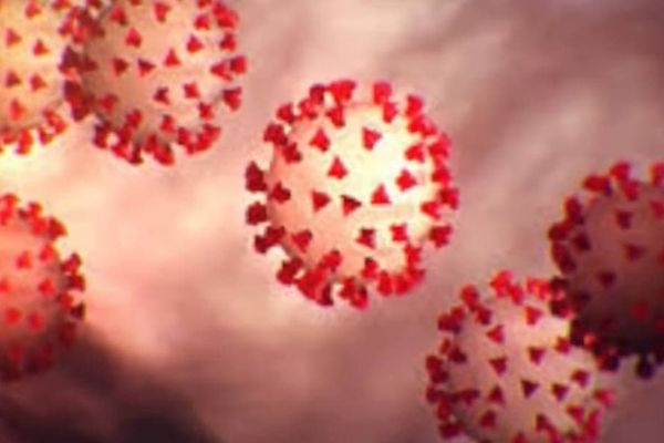 Iran Minister Says New Coronavirus Strain, Omicron Could Spread