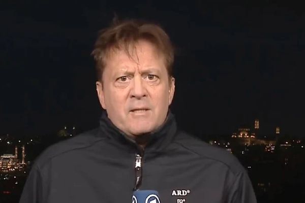 German Reporter Apologizes For Saying ‘All Iranians Worship Soleimani’