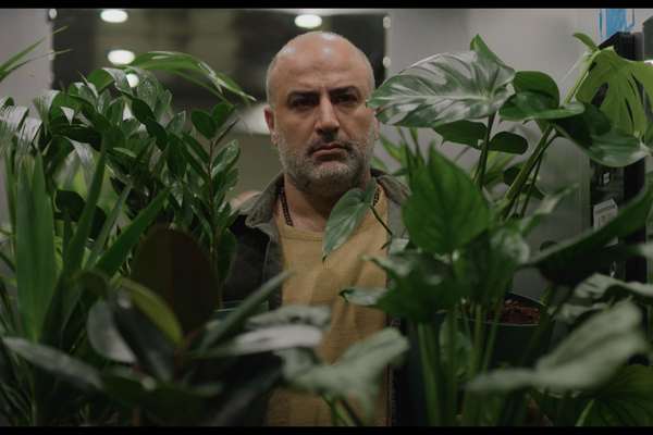 «کمی نور»؛ تهران بعد از جنگ