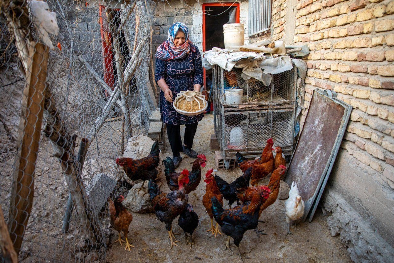 ‘A hungry nation can’t resist’: Tehran centrists call for Washington thaw