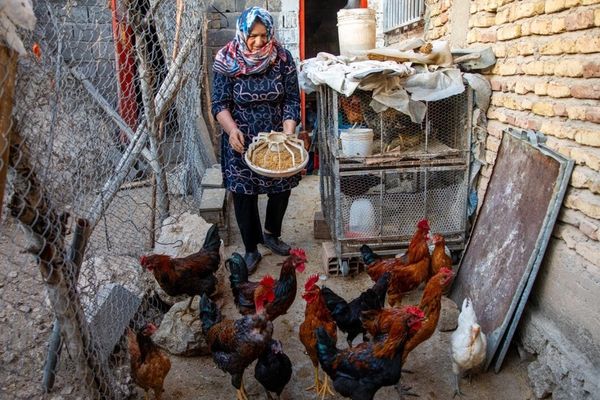 ‘A hungry nation can’t resist’: Tehran centrists call for Washington thaw