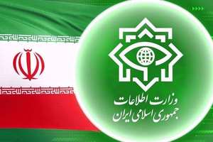 درخواست از نخستوزیر بریتانیا برای ممنوع اعلام کردن وزارت اطلاعات جمهوری اسلامی