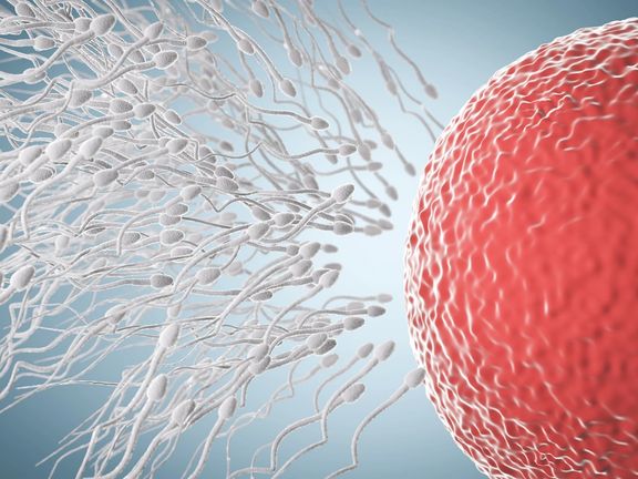 آیا ناباروری مردان به مرز بحران رسیده است