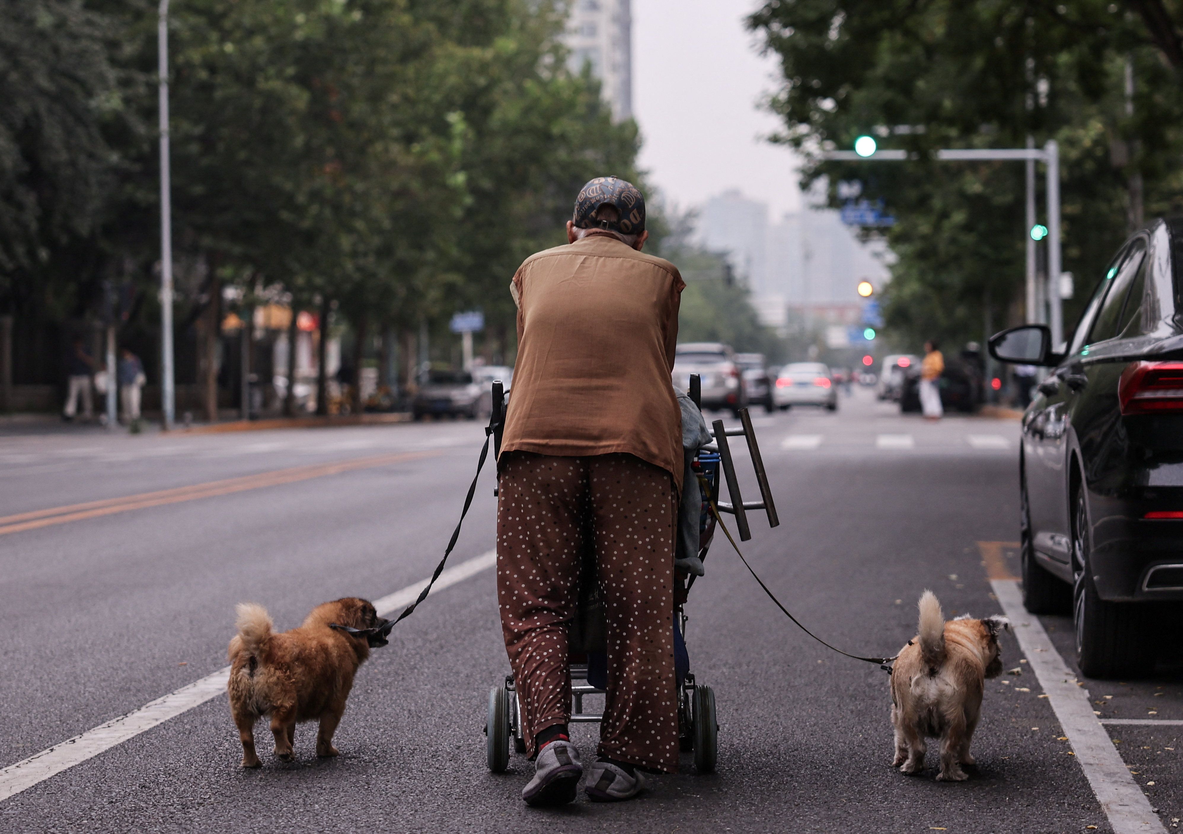 پژوهشی تازه: روزانه ۳ تا ۵ هزار قدم ابتلا به آلزایمر در سالمندان را ۳ سال عقب می‌اندازد