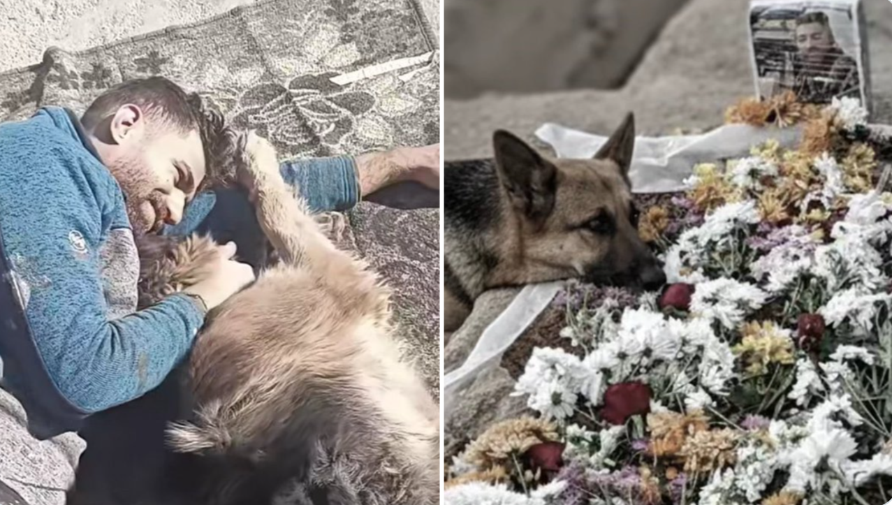 A man, a dog, and a private wish turned public tragedy in Iran
