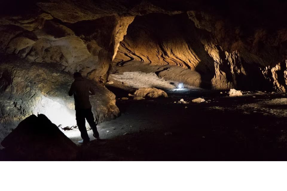 فلات ایران، مرکز مهاجرت انسان‌های خردمند اولیه از آفریقا بود 