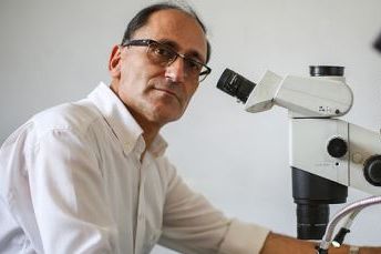 عضو هیات علمی دانشگاه تهران: دانشگاهیان چه با حجاب و چه بیحجاب سرمایههای کشورند