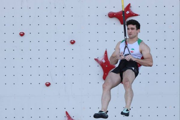 رضا علیپور در واکنش به افزایش قیمت دلار: خانه از پایبست ویران است